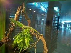 android_upload_pic-INLOVE KTV(世博源店)