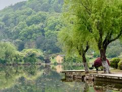 -龙寺生态园