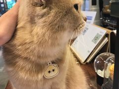 -咖法森林·咖啡  酒吧(天河店)