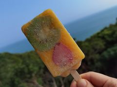 -广东惠东海龟国家级自然保护区
