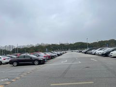 -新场古镇-停车场