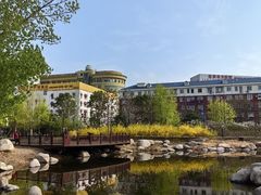 -莲花池公园