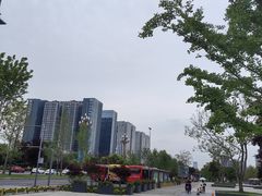 -海合安成都极地海洋公园