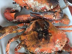 -蚝乡农庄(铁涌赤岸店)