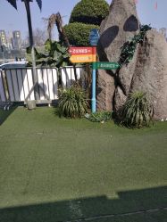 -恐龙探索乐园(磁器口店)