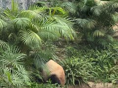 -石排湾郊野公园