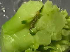 -佰搭果·广式茶餐厅(西华路店)