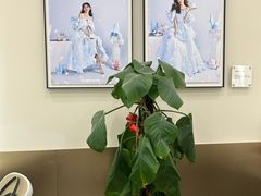 -HIMO海马体照相馆(上海华润CP静安店)