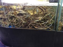 -蟹之国·精品蟹料理(极地店)