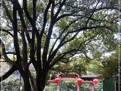 -杭州半山国家森林公园