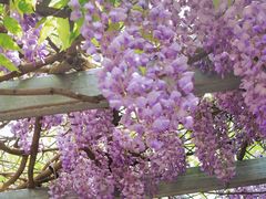 -北京古城老院厉晓麟精致菜