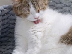 -怪兽屋·羊驼·猫咖·狗咖(俊华广场店)