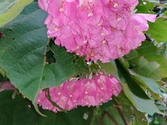 -华南国家植物园-售票处