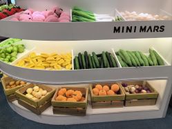 -MINI MARS KIDS CLUB亲子家庭中心(长宁天山店)