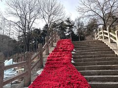 -洛阳白云山景区
