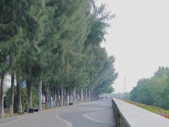 -宝安西湾红树林湿地公园