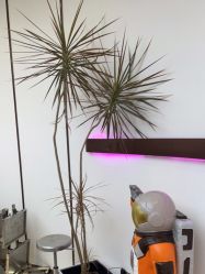 -In Style Hair Salon