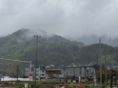 -杨家堂村