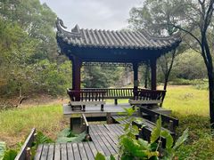 -深圳国际园林花卉博览园