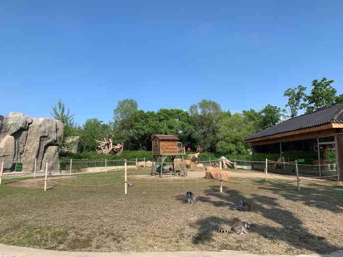 齊齊哈爾龍沙動植物園