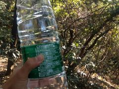-黄埔油麻山森林公园
