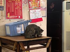 -九九豆花馆(解放碑步行街店)