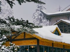 -瓦屋山景区
