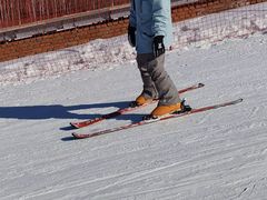 -长白山红松王滑雪场