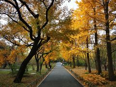 -国家植物园南园