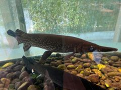 -衡山汇·高级粤菜(霄云路店)