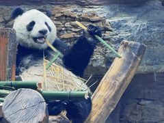 -石家庄市动物园