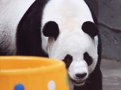 -栾川竹海野生动物园