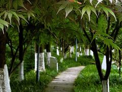 -姐妹面馆(水澄路店)