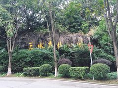 -三水森林公园