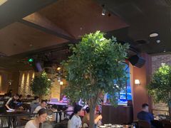-同仁四季椰子鸡(宝安壹方城店)