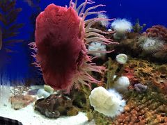 -上海海洋水族馆