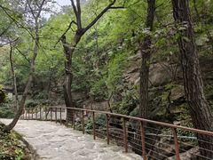 -北京上方山国家森林公园