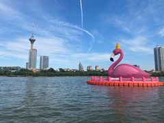 -天津水上公园