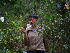 -汉艺唐风茶艺培训(联发华美空间店)