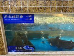 -大河宴·椒麻鱼火锅(米东区店)