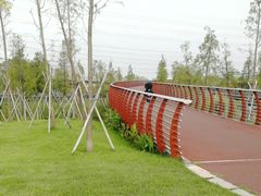 -王借岗森林公园