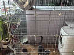 -莱姆星桌游·拼豆·团建