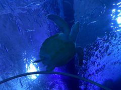 -多彩贵州城极地海洋世界