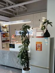 -LJOY丽锦造型·烫发染发
