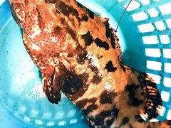 -真浪花园海鲜餐馆