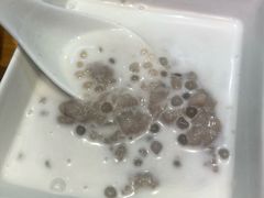 -三条A糖水公司(永旺梦乐城店)