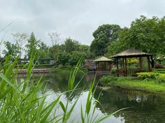 -成飞公园