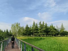 -洨河生态公园