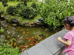 -绣园·茶食宴(湘绣博物馆店)