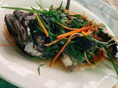 -四姑娘川味海鲜(八爪鱼店)